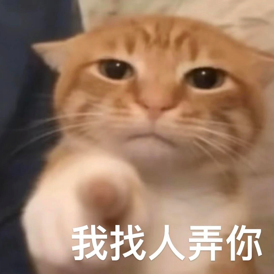 橘猫伸爪指人,配文“我找人弄你”,霸气威胁 表情包:被子外面的世界好残酷Sticker GIF - Seeking an emoji ...