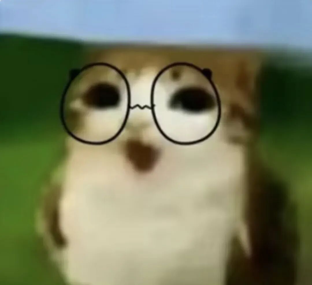 戴圆框眼镜的呆萌小仓鼠，好奇注视超可爱 猫头鹰猫meme表情包表情包图片gif动图 - 求表情网,斗图从此不求人!