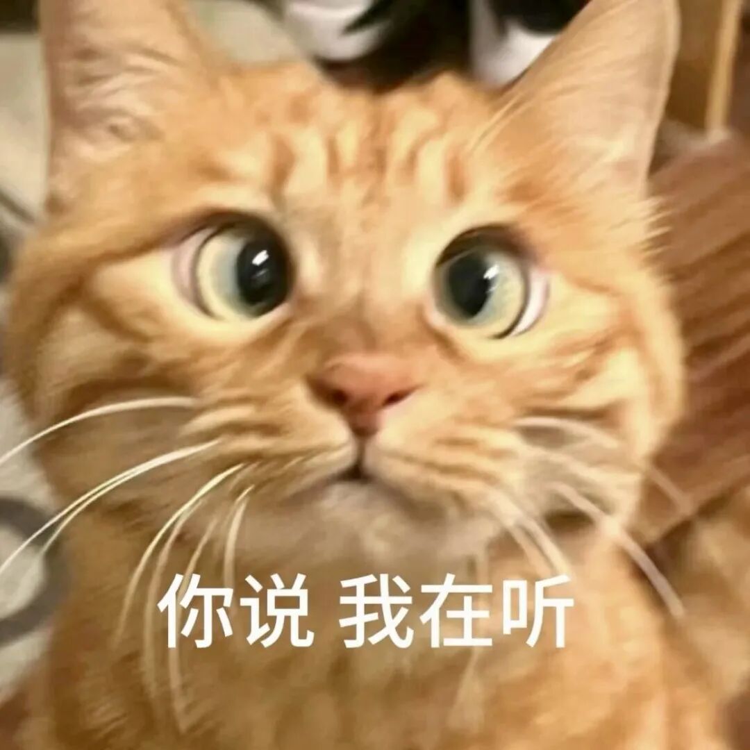 橘猫瞪大眼睛专注倾听：你说我在听 表情包：这就很吉手了表情包图片gif动图 - 求表情网,斗图从此不求人!