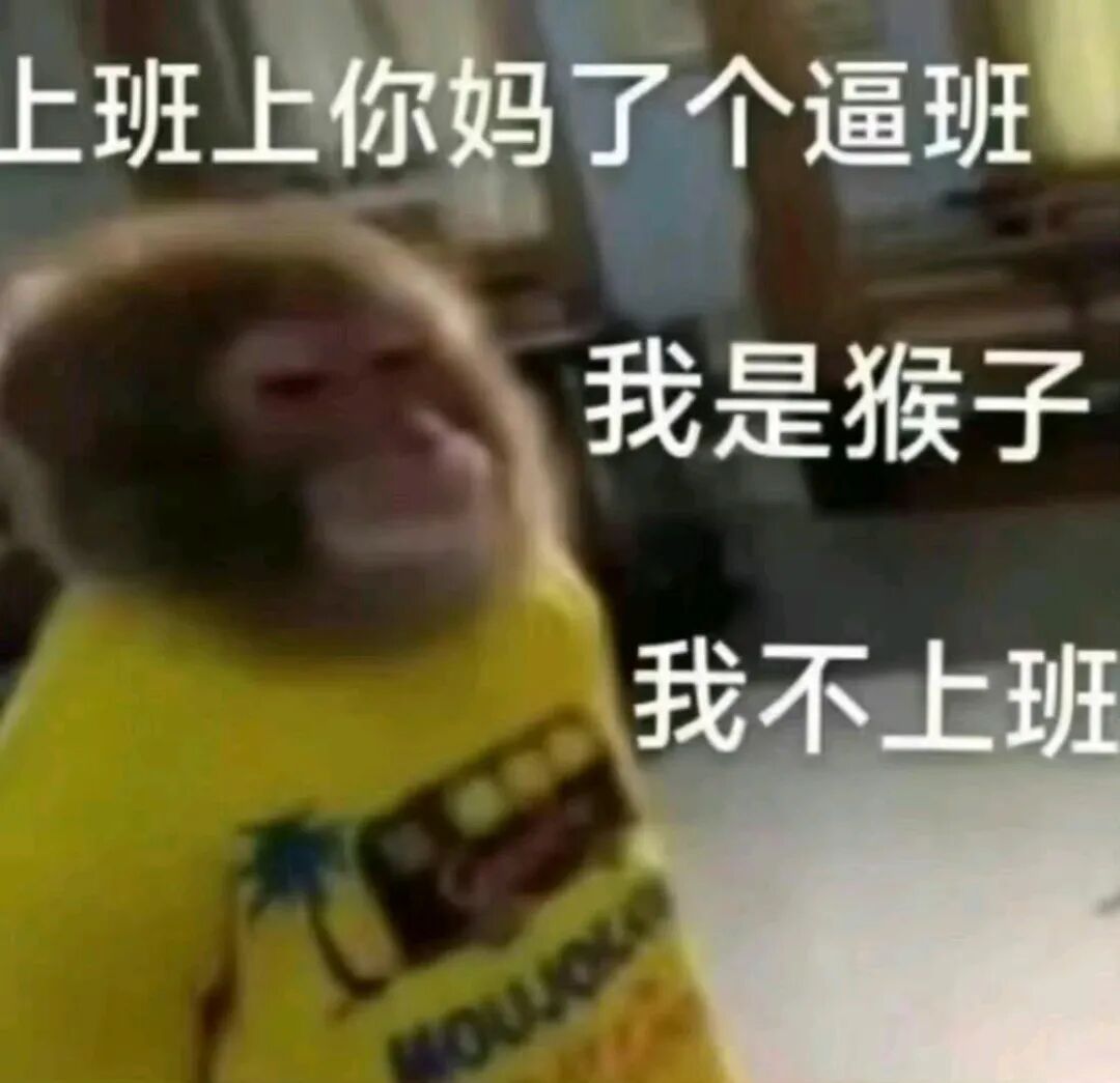 猴子暴躁拒上班:我是猴子 才不上这破班! 吗喽表情包 丨 斯密吗喽表情包图片gif动图 - 求表情网,斗图从此不求人!