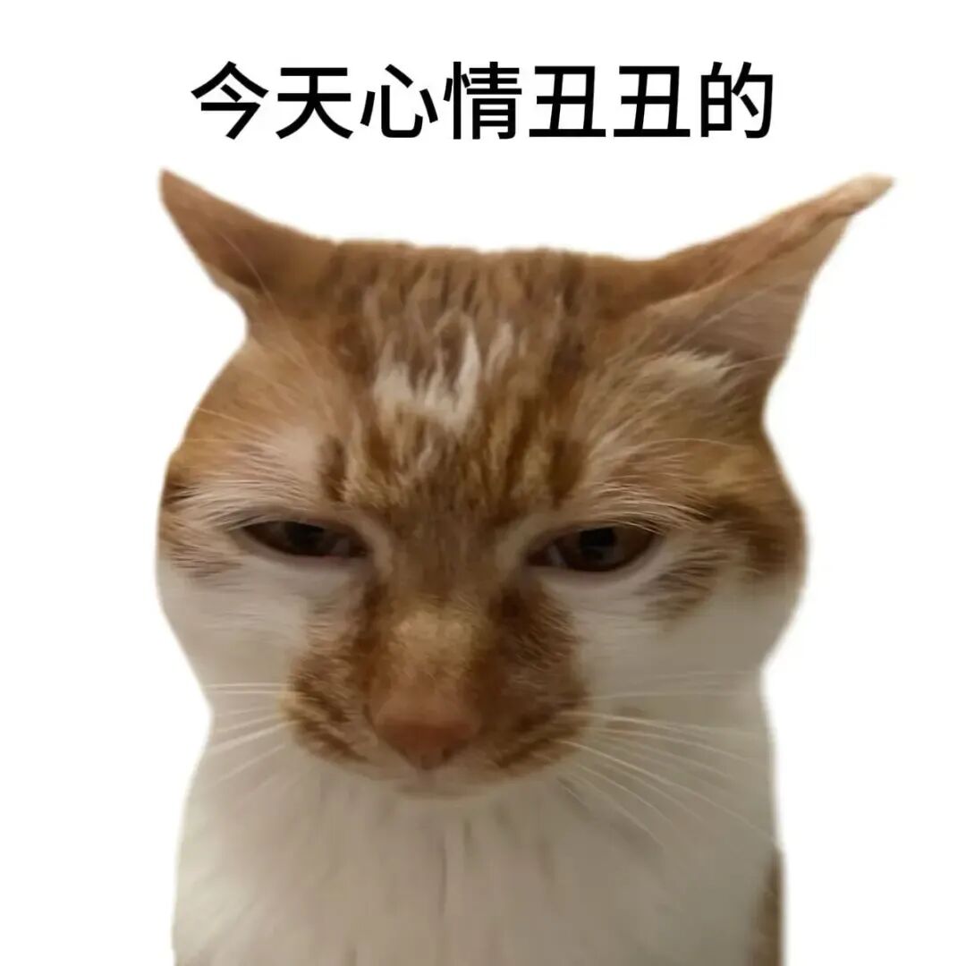 丧脸橘白猫配文“今天心情丑丑的”,表达坏心情 鱼烧表情包?包的 猫咪表情包表情包图片gif动图 - 求表情网,斗图从此不求人!