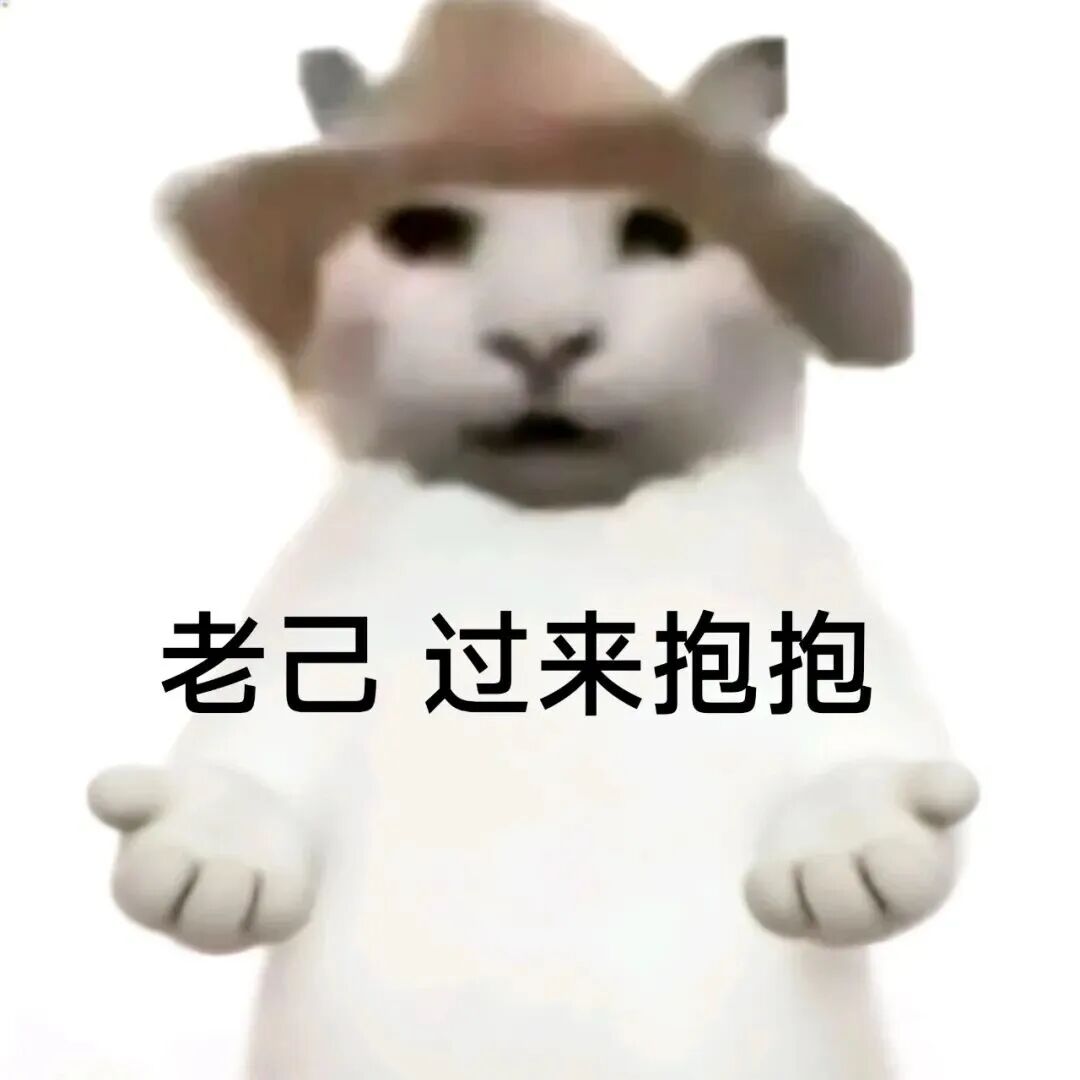 戴帽萌猫伸手呼唤“老己过来抱抱” 表情包：老己，天冷注意保暖表情包图片gif动图 - 求表情网,斗图从此不求人!
