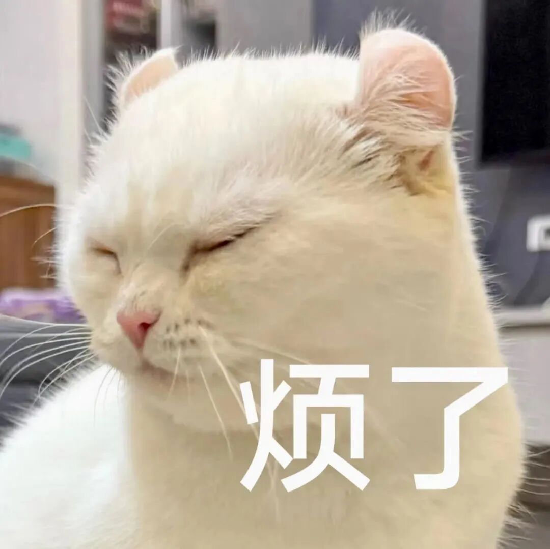 白猫闭眼配“烦了”文字,尽显烦躁不耐烦情绪 表情包|这么大 18厘米表情包图片gif动图 - 求表情网,斗图从此不求人!