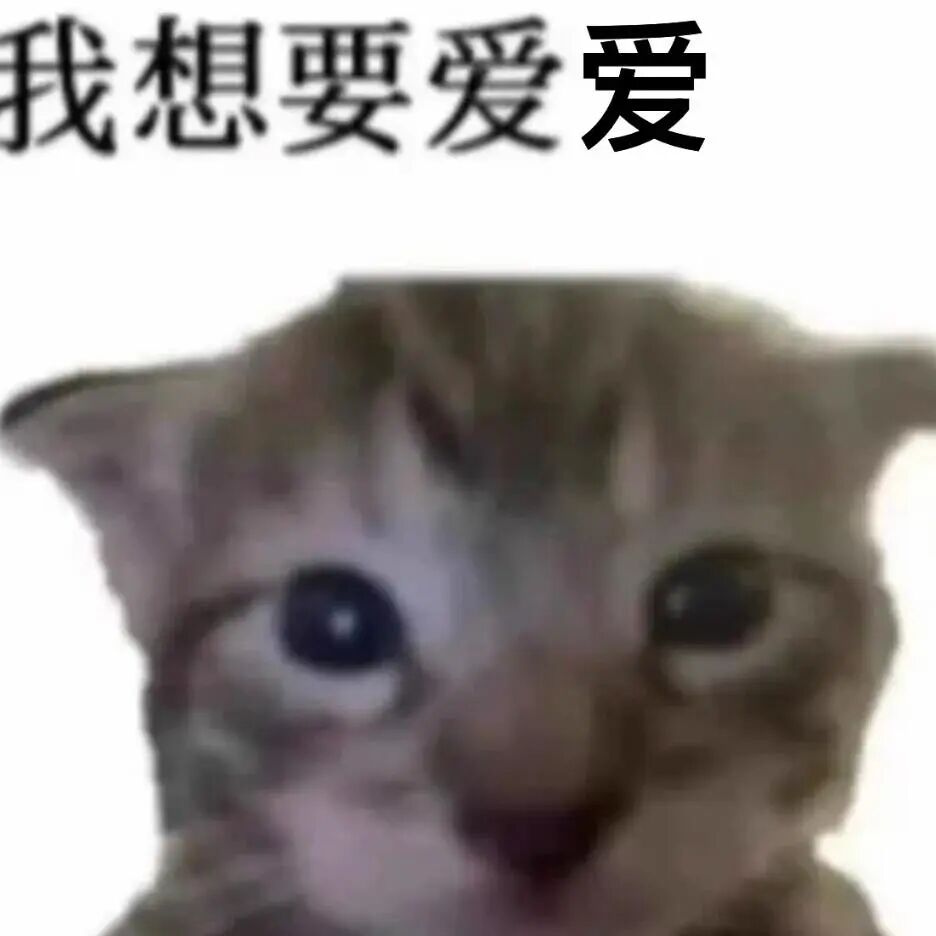 可爱小猫配文“我想要爱爱” 萌态求关爱 表情包｜已经没有什么可以影响我这个层次的人了Meme GIF - MemeVerse, Never ...