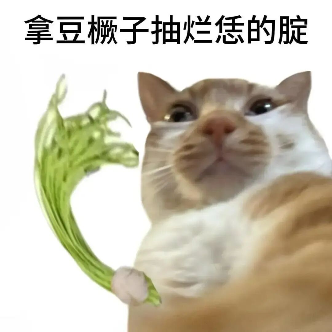 猫咪持豆橛子放狠话:拿豆橛子抽烂恁的腚 拿🥬🥒抽!抽烂恁的腚表情包Meme GIF - MemeVerse, Never Lose a ...