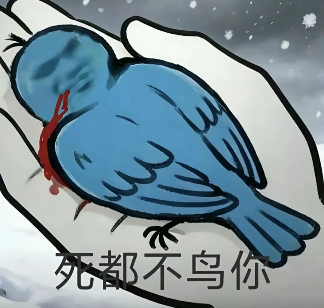 死蓝鸟带血躺手心,“死都不鸟你”硬核怼人 热门抽象表情包表情包图片gif动图 - 求表情网,斗图从此不求人!