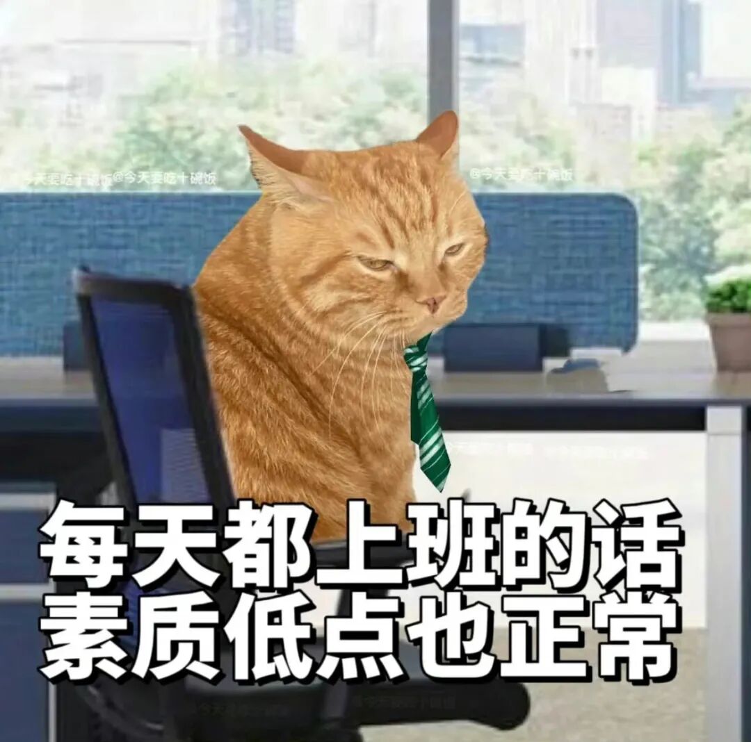 职场橘猫吐槽:天天上班素质低点也正常 微信可爱聊天表情包表情包图片gif动图 - 求表情网,斗图从此不求人!
