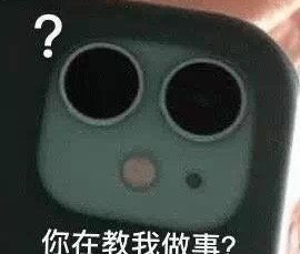 手机双摄问号脸,反问“你在教我做事?” 表情包 | 100张贱贱的表情包表情包图片gif动图 - 求表情网,斗图从此不求人!