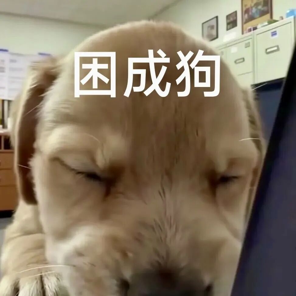 小狗眯眼超困倦,“困成狗”精准道尽疲惫 表情包:马上给我电话表情包图片gif动图 - 求表情网,斗图从此不求人!