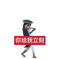 戴警帽企鹅叉腰,“你给我立刻”强势命令 500张超火的恶俗企鹅表情包gif动图(可批量保存)表情包图片gif动图 - 求表情网,斗图从此不求人!