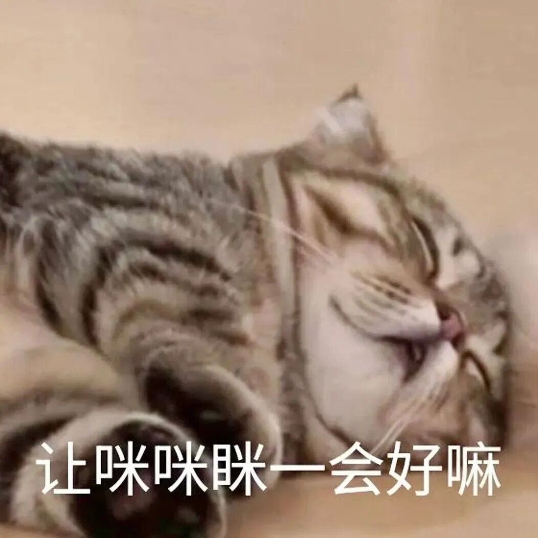 条纹猫闭眼酣睡,配文“让咪咪眯一会好嘛”萌求休息 实用聊天表情包表情包图片gif动图 - 求表情网,斗图从此不求人!