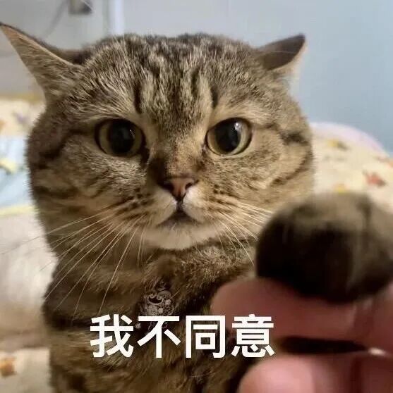 猫咪伸手拒,配文“我不同意”,态度坚决表反对 表情包:我没生气表情包图片gif动图 - 求表情网,斗图从此不求人!