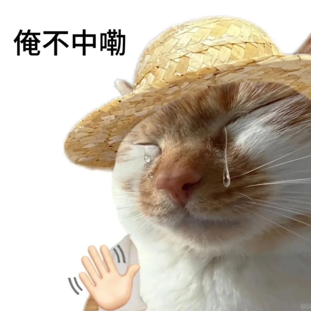 草帽猫流泪摆手喊俺不中嘞,尽显无力放弃 表情包|我是你妈 气质最佳表情包图片gif动图 - 求表情网,斗图从此不求人!