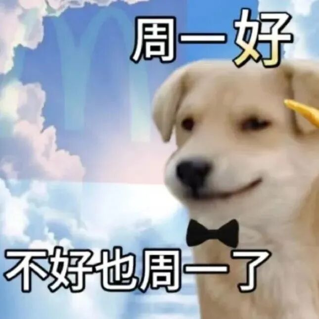 微笑小狗面对周一:周一好,不好也周一了 表情包|谁是煞b我不说Meme GIF - MemeVerse, Never Lose a Meme ...