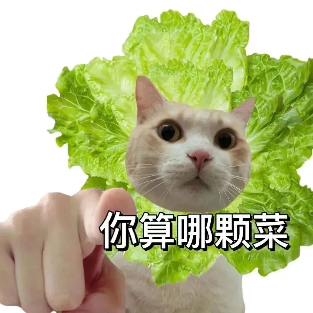 叶问表情包表情包图片 - 求表情网,斗图从此不求人!