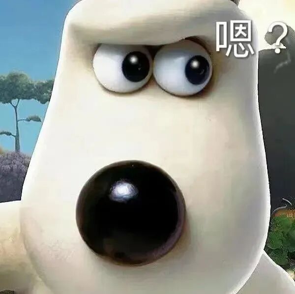 贝肯熊瞪眼带“嗯？”，满脸疑惑表疑问 表情包｜我就问我惹你没。表情包图片gif动图 - 求表情网,斗图从此不求人!