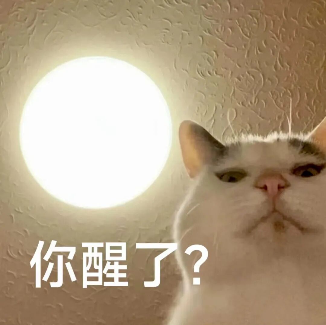 亮灯旁猫咪带嫌弃质问:你醒了? 表情包|我就问我惹你没。表情包图片gif动图 - 求表情网,斗图从此不求人!