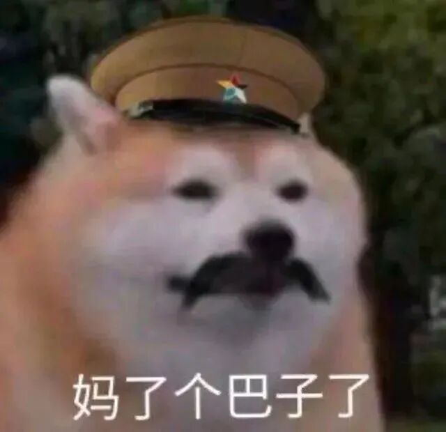 戴军帽留胡柴犬愤怒喊“妈了个巴子了” 表情包｜我就问我惹你没。表情包图片gif动图 - 求表情网,斗图从此不求人!