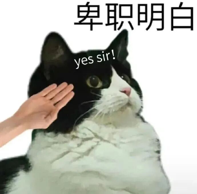 猫咪敬礼表服从，卑职明白yes sir！ 表情包｜牛一直在哭！表情包图片gif动图 - 求表情网,斗图从此不求人!