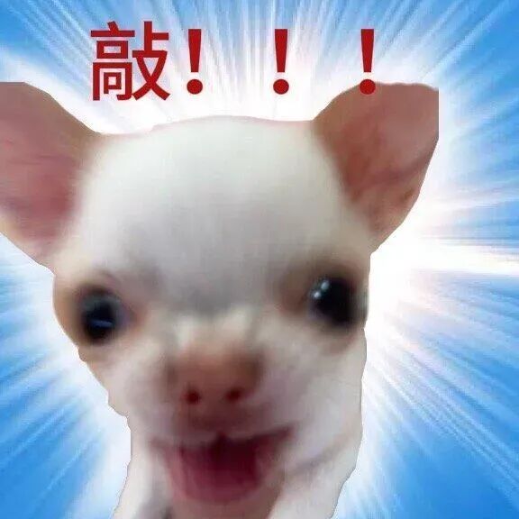 亢奋小狗喊“敲!!!”,蓝光背景超带感 文字实用小狗表情包表情包图片gif动图 - 求表情网,斗图从此不求人!