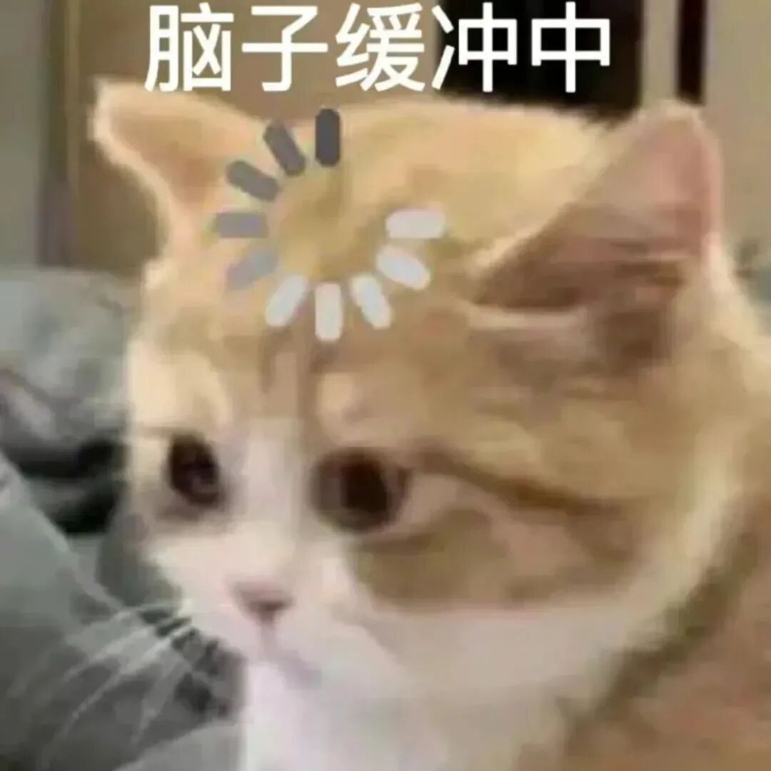 小猫脑子缓冲中 头顶加载转圈超呆萌 ๑超可爱表情包分享!૮⑉・-・⑉აSticker GIF - Seeking an emoji ...