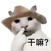 戴帽歪头小白猫,疑惑反问“不对吗?” 干嘛猫&纸巾猫表情包:真棒!表情包图片gif动图 - 求表情网,斗图从此不求人!