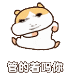 傲娇仓鼠叉腰反问:管的着吗你 新鲜出炉的聊天实用表情包表情包图片gif动图 - 求表情网,斗图从此不求人!