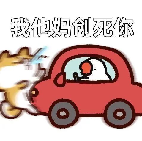 白鸟开车怒撞黄狗,配文“我他妈创死你” 表情包|叫声老公 命都给你Meme GIF - MemeVerse, Never Lose a ...