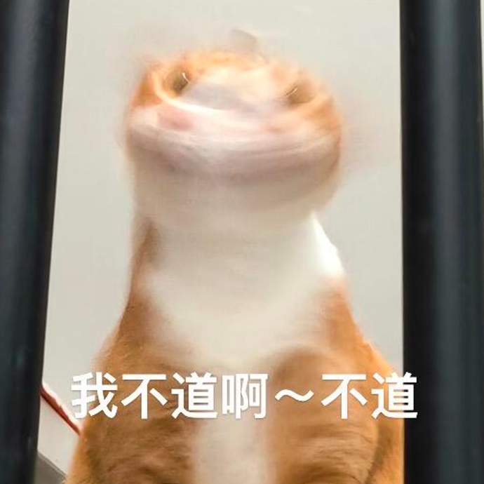 糊脸橘猫撒娇装傻:我不道啊~不道 表情包:咪咪心里痛表情包图片gif动图 - 求表情网,斗图从此不求人!