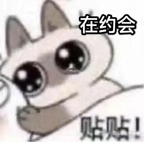 大眼萌猫约会求贴贴,可爱亲昵氛围拉满 表情包|小天鹅 今晚有空吗表情包图片gif动图 - 求表情网,斗图从此不求人!