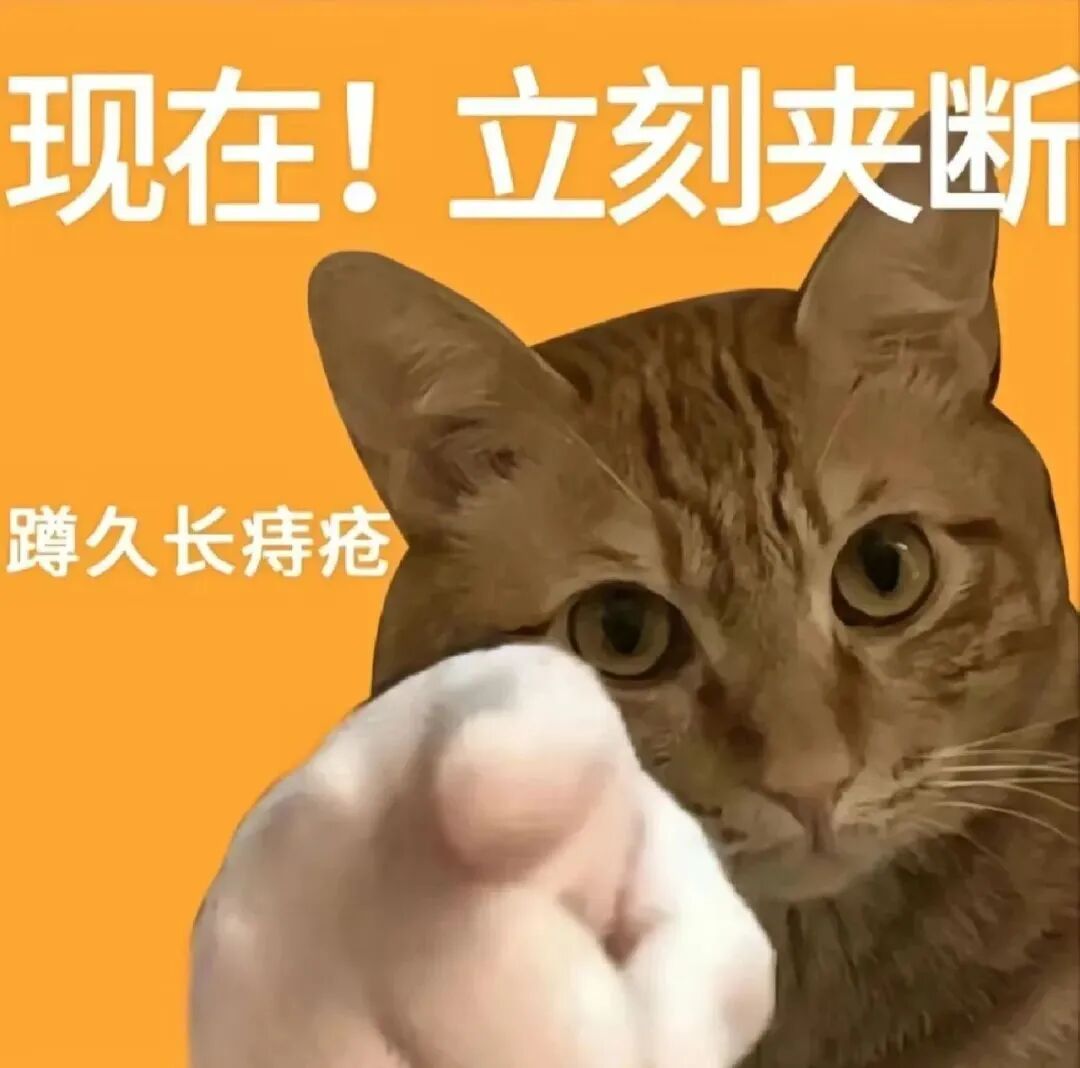 橘猫催你立刻夹断 警告蹲久长痔疮 您的表情包已送到!表情包图片gif动图 - 求表情网,斗图从此不求人!