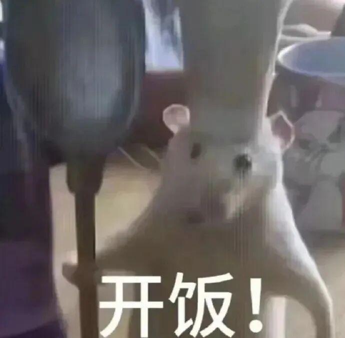 小老鼠举锅铲喊开饭,活力满满干饭预备 表情包|听听你说些什么狗啤表情包图片gif动图 - 求表情网,斗图从此不求人!