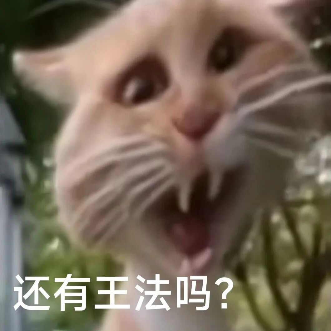 猫咪瞪眼张嘴愤怒质问:还有王法吗? 表情包:人,你指定行表情包图片gif动图 - 求表情网,斗图从此不求人!