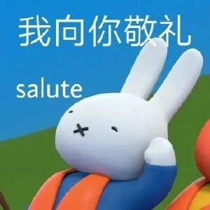 米菲兔抬手敬礼 我向你敬礼salute 表情包｜抱歉，我有点火大表情包图片gif动图 - 求表情网,斗图从此不求人!