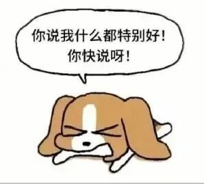 小狗撒娇催夸:你说我什么都特别好快说呀! 表情包|我靠 一群废物都在Meme GIF - MemeVerse, Never Lose a ...