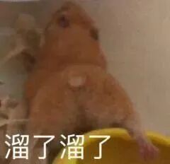 小仓鼠背影配“溜了溜了”，呆萌开溜超可爱 表情包｜被金钱蒙蔽了双眼表情包图片gif动图 - 求表情网,斗图从此不求人!