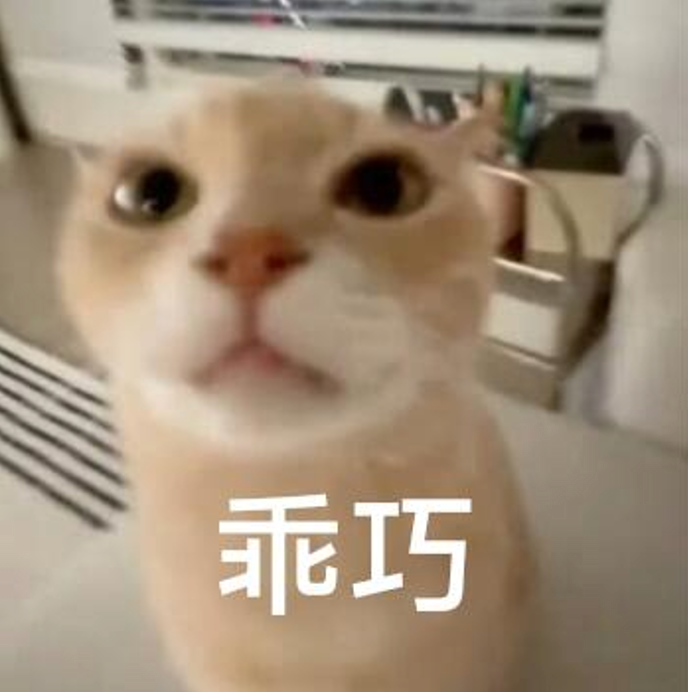 呆萌橘猫睁大眼睛，“乖巧”文字尽显乖巧 表情包：叽里咕噜说啥呢Meme GIF - MemeVerse, Never Lose a Meme ...