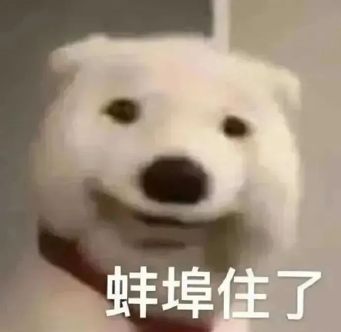 绷不住了表情包表情包图片 - 求表情网,斗图从此不求人!