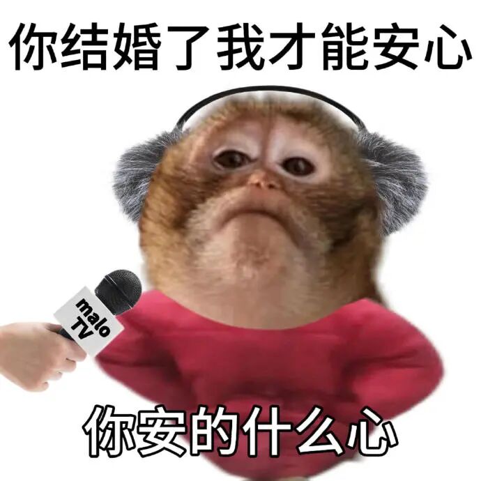采访猴子催婚,猴子反问“你安的什么心” 表情包|看我不爽 那就看我爽表情包图片gif动图 - 求表情网,斗图从此不求人!