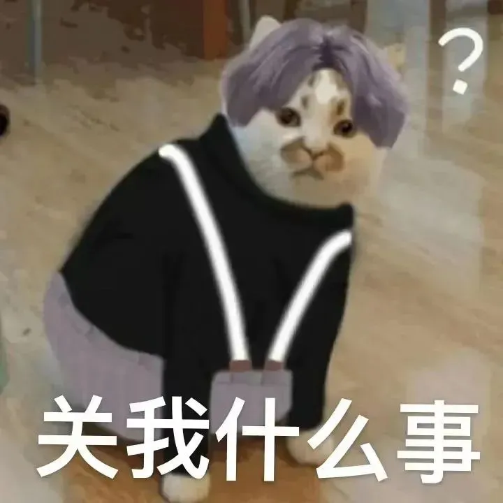 紫发潮服猫带问号,疑惑表示“关我什么事” 表情包:你一定要幸福啊Meme GIF - MemeVerse, Never Lose a Meme ...