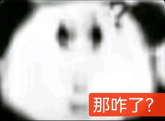 模糊熊猫头配“那咋了?”,反问疑惑表情包 人生就仨字:那咋了 表情包表情包图片gif动图 - 求表情网,斗图从此不求人!