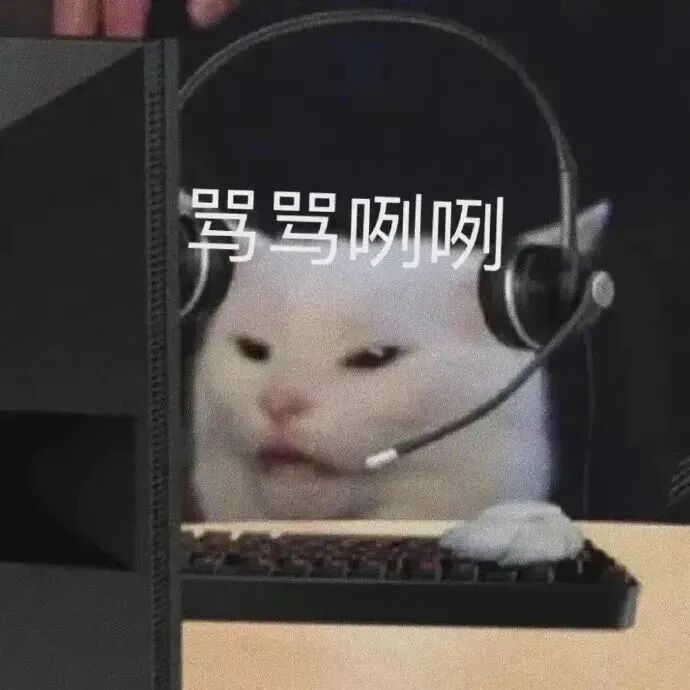 戴耳机的猫咪坐键盘前，骂骂咧咧暴躁上网 表情包｜按照我说的做Meme GIF - MemeVerse, Never Lose a Meme ...
