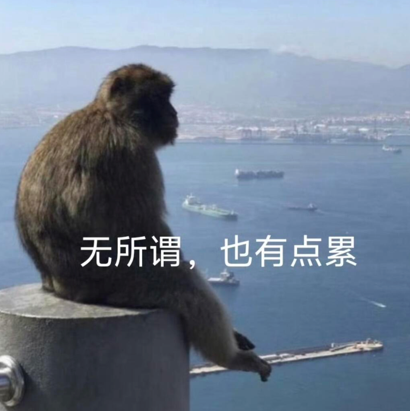 猴子独坐远眺海面,配文“无所谓,也有点累” 表情包:牛逼克拉斯Meme GIF - MemeVerse, Never Lose a Meme ...
