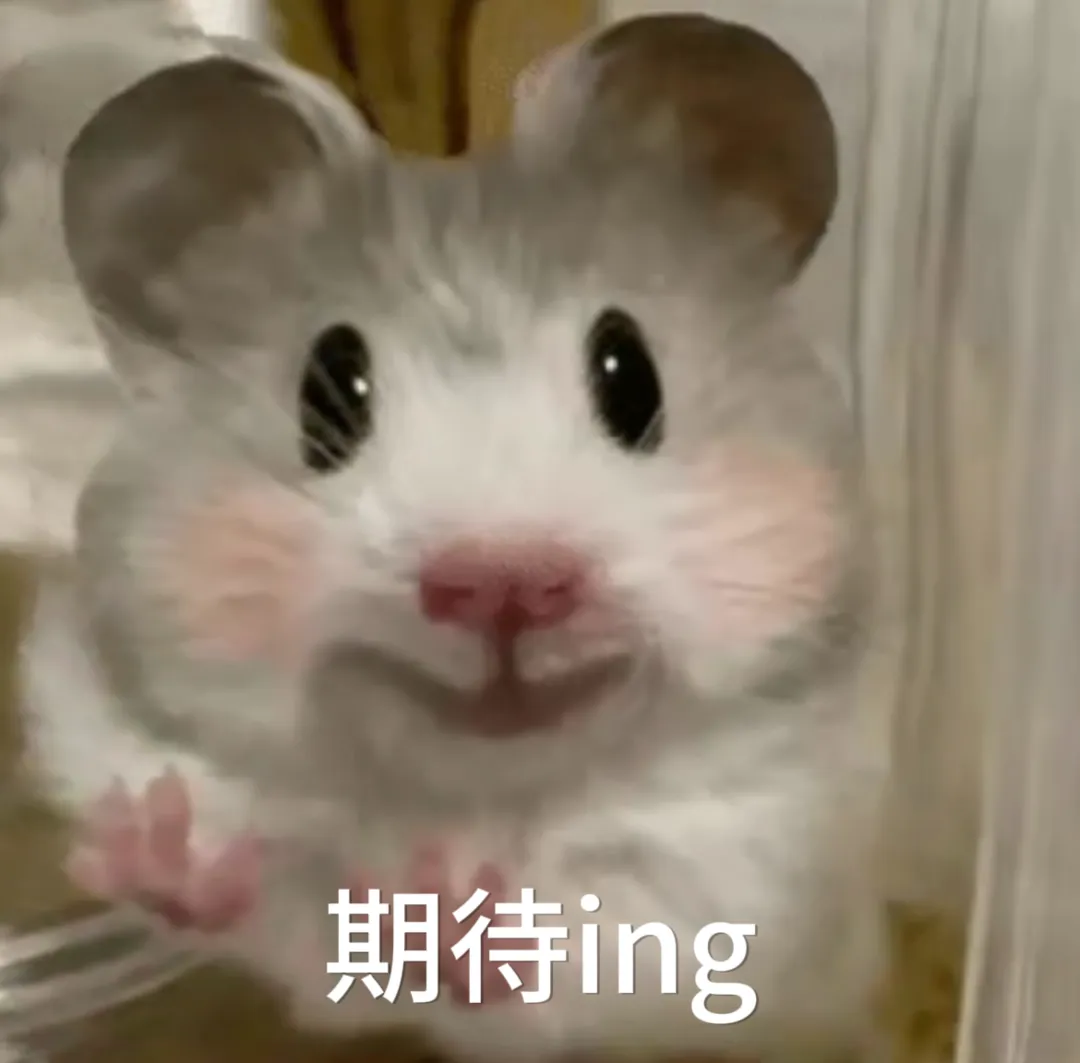 可爱仓鼠睁大眼睛，满心期待ing超萌 每日精选 | 猎奇抽象表情包 | 宝子我不行了表情包图片gif动图 - 求表情网,斗图从此不求人!