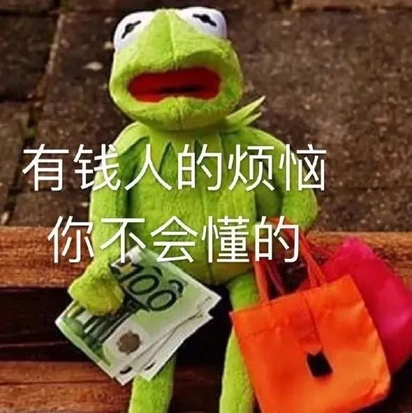 科米蛙持钞拎袋,调侃有钱人的烦恼你不懂 都是什么人啊!敢用这些表情包?Meme GIF - MemeVerse, Never Lose a ...