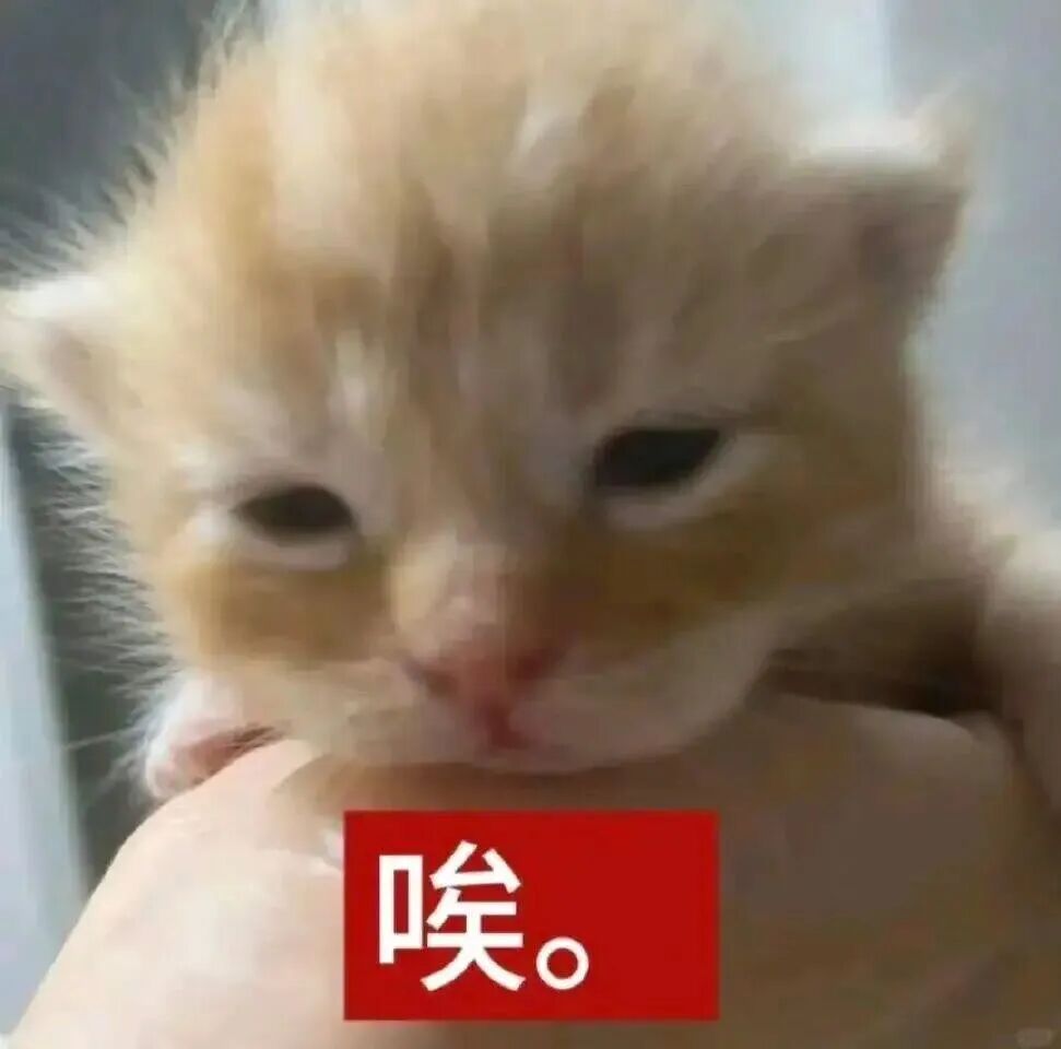 小橘猫蔫耷着眼,“唉”字衬出无奈叹气感 低脂小猫表情包88张「直存」表情包图片gif动图 - 求表情网,斗图从此不求人!