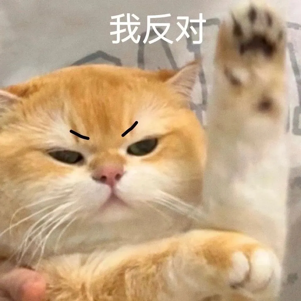 橘猫皱眉举爪,配文“我反对”,态度坚决 表情包:听不懂就装傻充愣表情包图片gif动图 - 求表情网,斗图从此不求人!