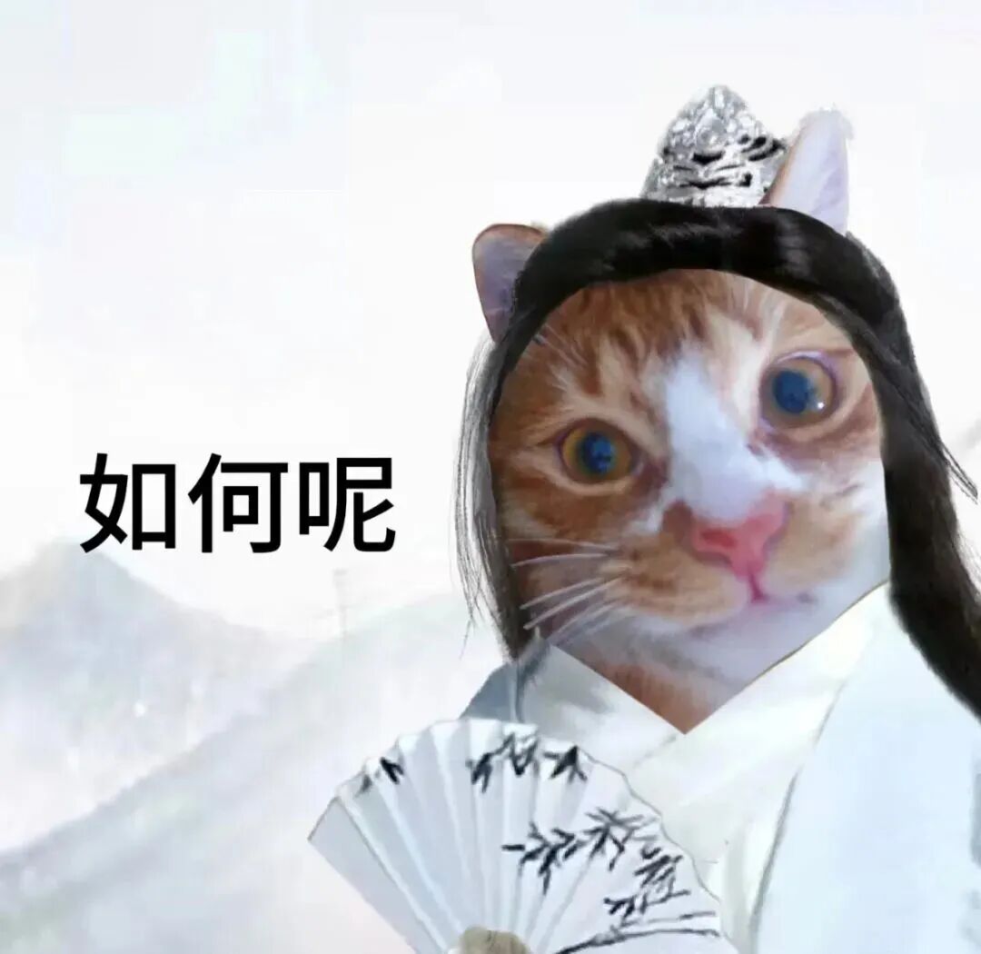 古风橘猫戴冠持扇 询问如何呢 表情包|你爱不爱老子表情包图片gif动图 - 求表情网,斗图从此不求人!
