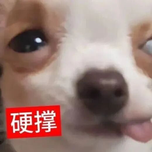 小狗“硬撑”文字加持,神态倔强显强撑模样 表情包|又把爷搞开心咯Meme GIF - MemeVerse, Never Lose a Meme ...