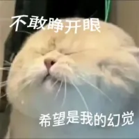 “不敢睁开眼,希望是我的幻觉”的无奈与逃避心态表情包 可爱又实用的mini小表情包表情包图片gif动图 - 求表情网,斗图从此不求人!
